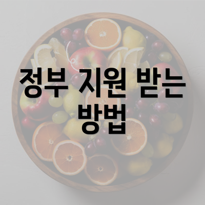 정부 지원 받는 방법