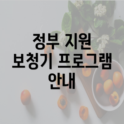 정부 지원 보청기 프로그램 안내