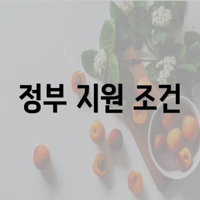 정부 지원 조건