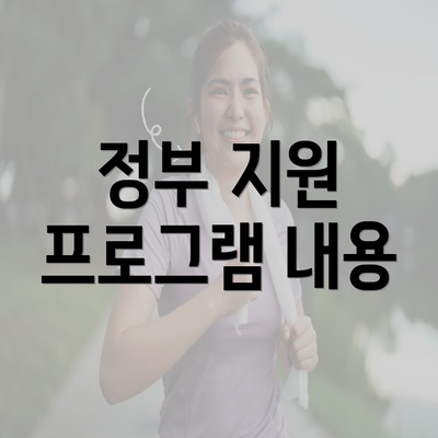 정부 지원 프로그램 내용