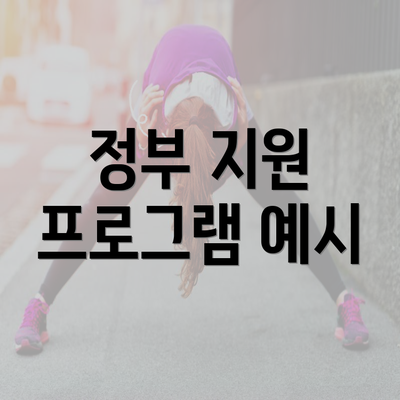 정부 지원 프로그램 예시