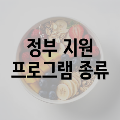 정부 지원 프로그램 종류