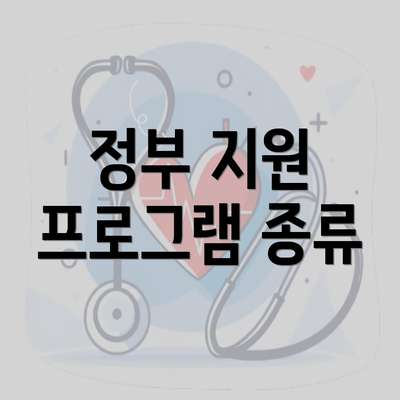 정부 지원 프로그램 종류