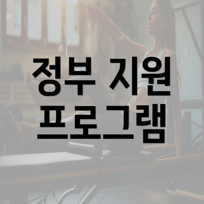 정부 지원 프로그램