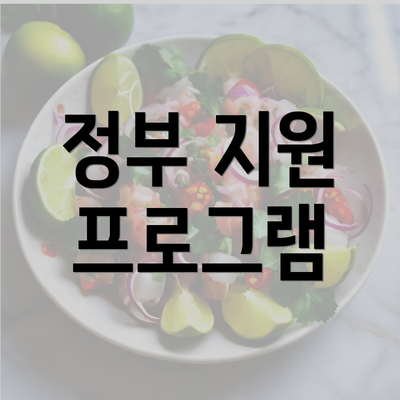 정부 지원 프로그램