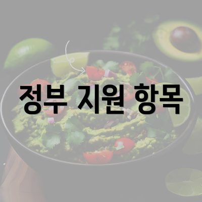 정부 지원 항목