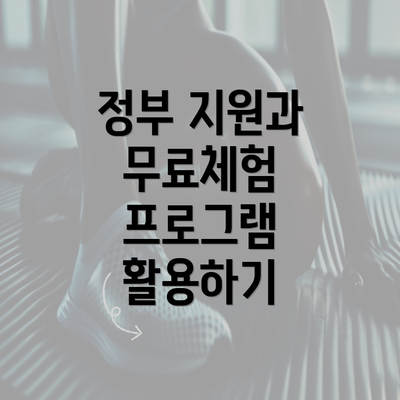 정부 지원과 무료체험 프로그램 활용하기