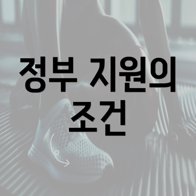 정부 지원의 조건