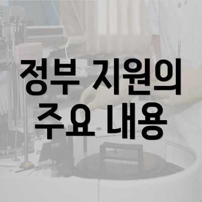 정부 지원의 주요 내용