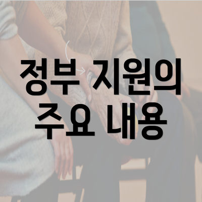 정부 지원의 주요 내용