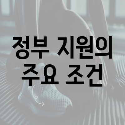 정부 지원의 주요 조건