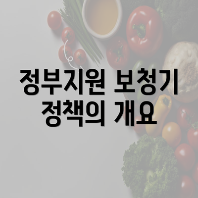 정부지원 보청기 정책의 개요