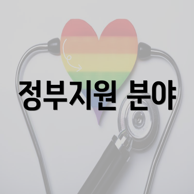 정부지원 분야