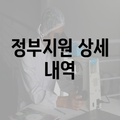 정부지원 상세 내역