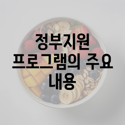 정부지원 프로그램의 주요 내용