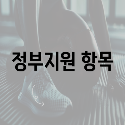 정부지원 항목