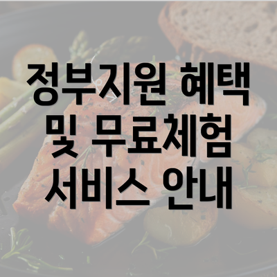 정부지원 혜택 및 무료체험 서비스 안내