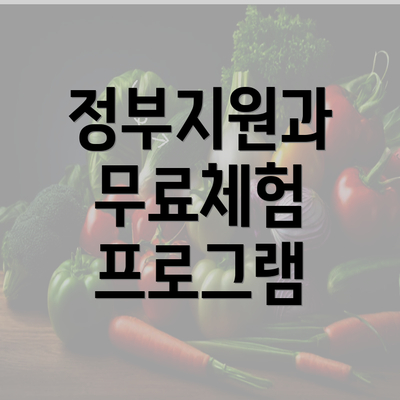 정부지원과 무료체험 프로그램