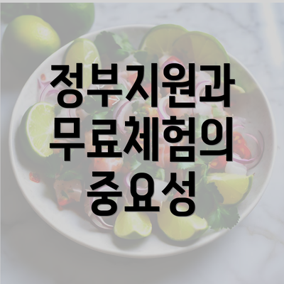 정부지원과 무료체험의 중요성