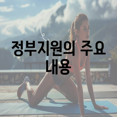 정부지원의 주요 내용