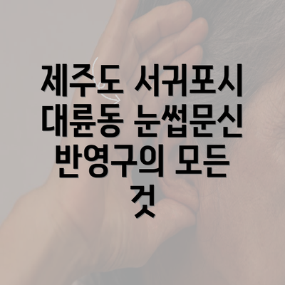 제주도 서귀포시 대륜동 눈썹문신 반영구의 모든 것