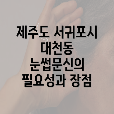 제주도 서귀포시 대천동 눈썹문신의 필요성과 장점