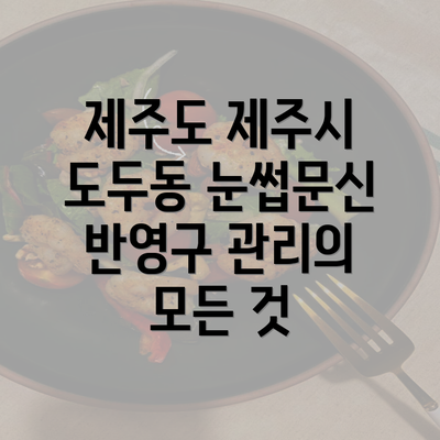 제주도 제주시 도두동 눈썹문신 반영구 관리의 모든 것