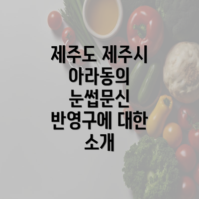 제주도 제주시 아라동의 눈썹문신 반영구에 대한 소개