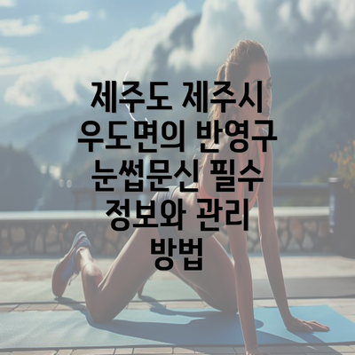 제주도 제주시 우도면의 반영구 눈썹문신 필수 정보와 관리 방법