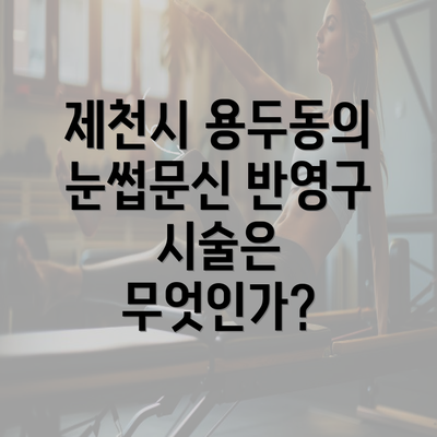 제천시 용두동의 눈썹문신 반영구 시술은 무엇인가?