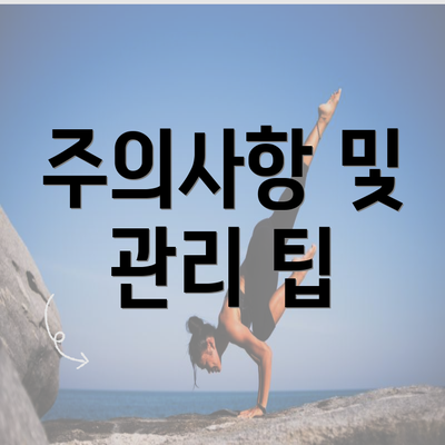 주의사항 및 관리 팁