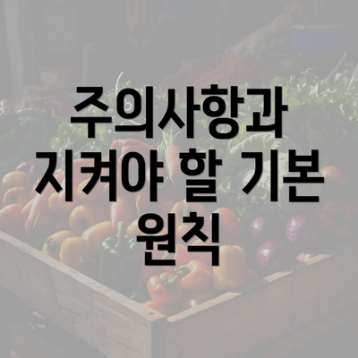 주의사항과 지켜야 할 기본 원칙