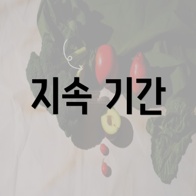 지속 기간