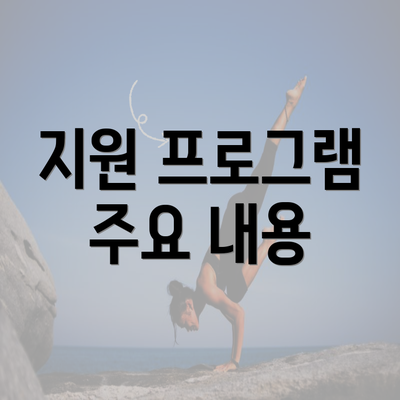 지원 프로그램 주요 내용