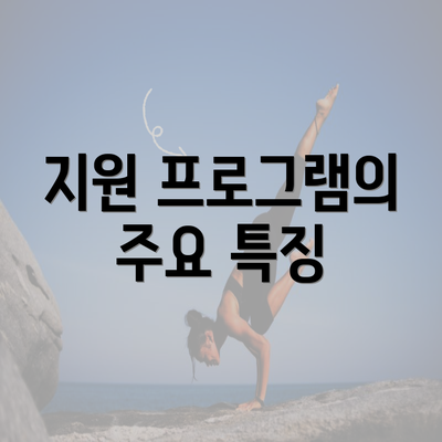 지원 프로그램의 주요 특징