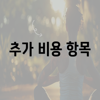 추가 비용 항목