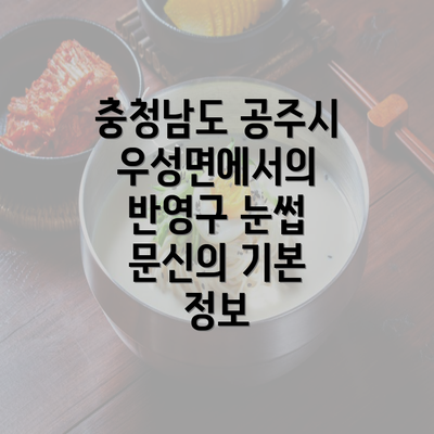 충청남도 공주시 우성면에서의 반영구 눈썹 문신의 기본 정보