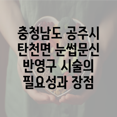 충청남도 공주시 탄천면 눈썹문신 반영구 시술의 필요성과 장점