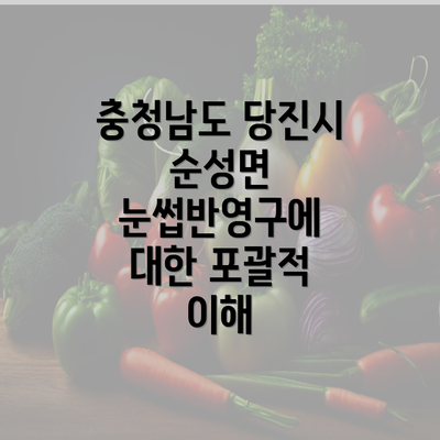 충청남도 당진시 순성면 눈썹반영구에 대한 포괄적 이해