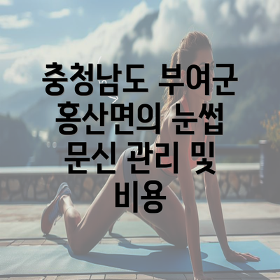 충청남도 부여군 홍산면의 눈썹 문신 관리 및 비용