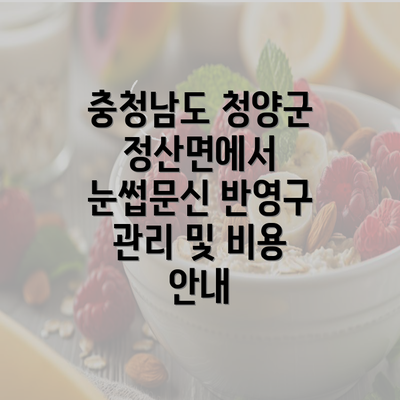 충청남도 청양군 정산면에서 눈썹문신 반영구 관리 및 비용 안내