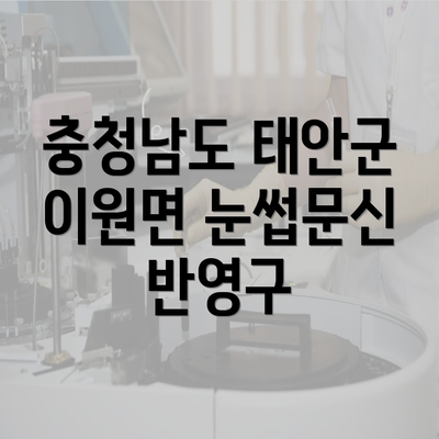 충청남도 태안군 이원면 눈썹문신 반영구