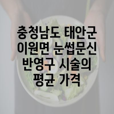 충청남도 태안군 이원면 눈썹문신 반영구 시술의 평균 가격