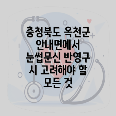 충청북도 옥천군 안내면에서 눈썹문신 반영구 시 고려해야 할 모든 것