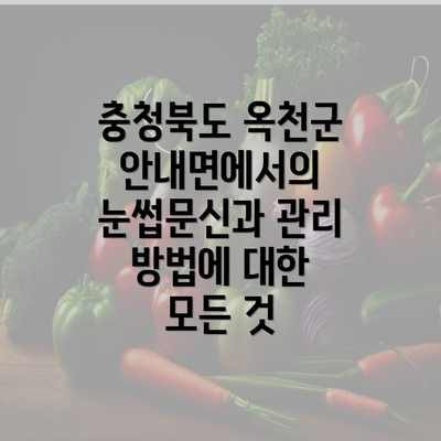 충청북도 옥천군 안내면에서의 눈썹문신과 관리 방법에 대한 모든 것