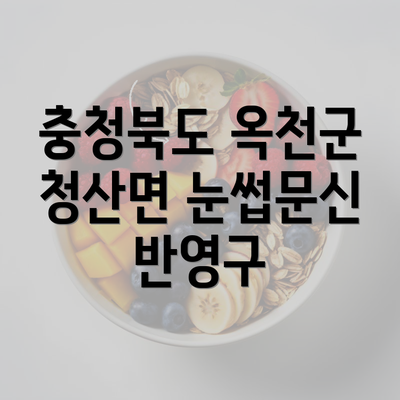 충청북도 옥천군 청산면 눈썹문신 반영구