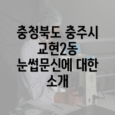 충청북도 충주시 교현2동 눈썹문신에 대한 소개