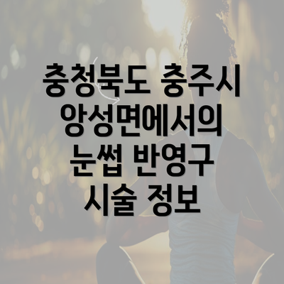 충청북도 충주시 앙성면에서의 눈썹 반영구 시술 정보