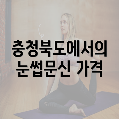 충청북도에서의 눈썹문신 가격