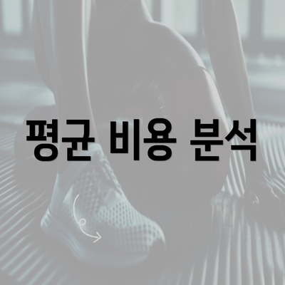 평균 비용 분석